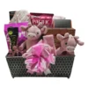Luxury Baby Girl Gourmet
