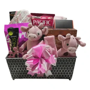 Luxury Baby Girl Gourmet