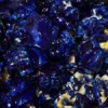 Blueberry